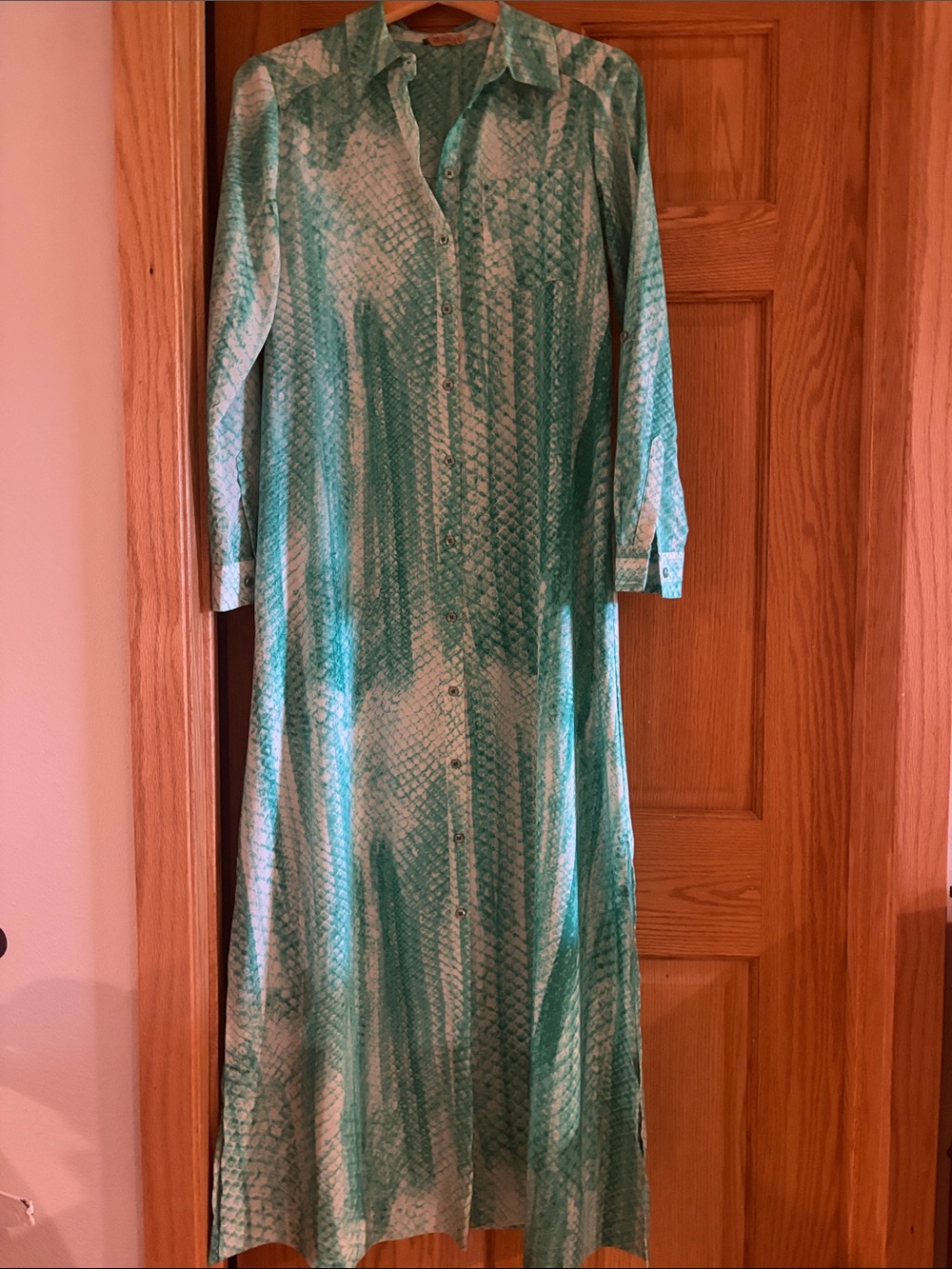 Women's Teal Snake-Print Button-Front Maxi Dress
